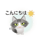 色々な猫8-3 長毛-立ち耳-サバトラ白（個別スタンプ：5）