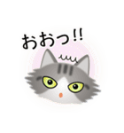 色々な猫8-3 長毛-立ち耳-サバトラ白（個別スタンプ：10）