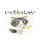 色々な猫8-3 長毛-立ち耳-サバトラ白（個別スタンプ：15）