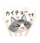 色々な猫8-3 長毛-立ち耳-サバトラ白（個別スタンプ：17）