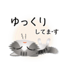 色々な猫8-3 長毛-立ち耳-サバトラ白（個別スタンプ：18）
