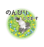 色々な猫8-3 長毛-立ち耳-サバトラ白（個別スタンプ：19）