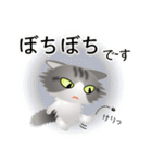 色々な猫8-3 長毛-立ち耳-サバトラ白（個別スタンプ：20）
