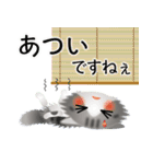 色々な猫8-3 長毛-立ち耳-サバトラ白（個別スタンプ：21）