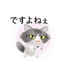 色々な猫8-3 長毛-立ち耳-サバトラ白（個別スタンプ：23）