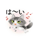 色々な猫8-3 長毛-立ち耳-サバトラ白（個別スタンプ：29）
