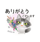 色々な猫8-3 長毛-立ち耳-サバトラ白（個別スタンプ：31）