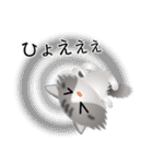色々な猫8-3 長毛-立ち耳-サバトラ白（個別スタンプ：35）