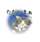 色々な猫8-3 長毛-立ち耳-サバトラ白（個別スタンプ：38）