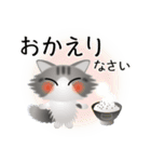 色々な猫8-3 長毛-立ち耳-サバトラ白（個別スタンプ：39）