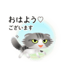 色々な猫8-4 長毛-垂れ耳-サバトラ白（個別スタンプ：1）