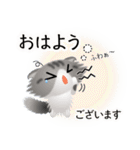 色々な猫8-4 長毛-垂れ耳-サバトラ白（個別スタンプ：2）