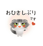 色々な猫8-4 長毛-垂れ耳-サバトラ白（個別スタンプ：3）