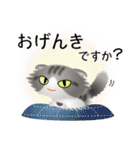 色々な猫8-4 長毛-垂れ耳-サバトラ白（個別スタンプ：4）