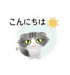 色々な猫8-4 長毛-垂れ耳-サバトラ白（個別スタンプ：5）