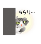 色々な猫8-4 長毛-垂れ耳-サバトラ白（個別スタンプ：6）