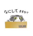色々な猫8-4 長毛-垂れ耳-サバトラ白（個別スタンプ：8）