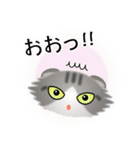 色々な猫8-4 長毛-垂れ耳-サバトラ白（個別スタンプ：10）
