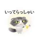 色々な猫8-4 長毛-垂れ耳-サバトラ白（個別スタンプ：15）