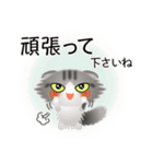 色々な猫8-4 長毛-垂れ耳-サバトラ白（個別スタンプ：16）