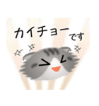 色々な猫8-4 長毛-垂れ耳-サバトラ白（個別スタンプ：17）