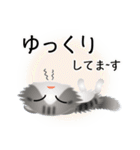 色々な猫8-4 長毛-垂れ耳-サバトラ白（個別スタンプ：18）