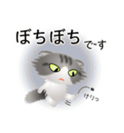 色々な猫8-4 長毛-垂れ耳-サバトラ白（個別スタンプ：20）