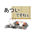 色々な猫8-4 長毛-垂れ耳-サバトラ白（個別スタンプ：21）