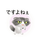 色々な猫8-4 長毛-垂れ耳-サバトラ白（個別スタンプ：23）