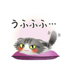 色々な猫8-4 長毛-垂れ耳-サバトラ白（個別スタンプ：25）