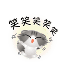 色々な猫8-4 長毛-垂れ耳-サバトラ白（個別スタンプ：26）