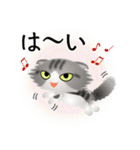 色々な猫8-4 長毛-垂れ耳-サバトラ白（個別スタンプ：29）