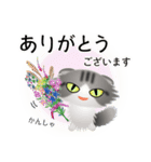 色々な猫8-4 長毛-垂れ耳-サバトラ白（個別スタンプ：31）