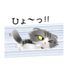 色々な猫8-4 長毛-垂れ耳-サバトラ白（個別スタンプ：34）