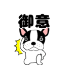 【毎日】フレンチブルドックのブルちゃん48（個別スタンプ：3）