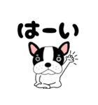 【毎日】フレンチブルドックのブルちゃん48（個別スタンプ：4）