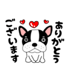 【毎日】フレンチブルドックのブルちゃん48（個別スタンプ：10）