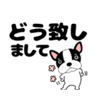 【毎日】フレンチブルドックのブルちゃん48（個別スタンプ：14）