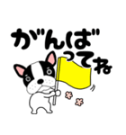 【毎日】フレンチブルドックのブルちゃん48（個別スタンプ：17）