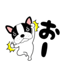 【毎日】フレンチブルドックのブルちゃん48（個別スタンプ：18）