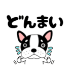 【毎日】フレンチブルドックのブルちゃん48（個別スタンプ：19）