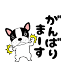 【毎日】フレンチブルドックのブルちゃん48（個別スタンプ：20）