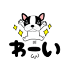 【毎日】フレンチブルドックのブルちゃん48（個別スタンプ：23）