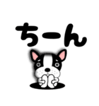 【毎日】フレンチブルドックのブルちゃん48（個別スタンプ：24）