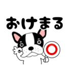 【毎日】フレンチブルドックのブルちゃん48（個別スタンプ：37）
