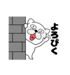 【動く】ぶさいく犬54（個別スタンプ：10）