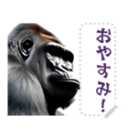 文字変更可能ゴリラ（個別スタンプ：24）