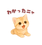 ニャンコ❤️ニャンコ（個別スタンプ：6）