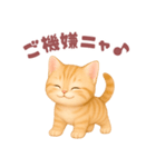 ニャンコ❤️ニャンコ（個別スタンプ：11）