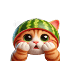 スイカ猫のかわいい崩壊日常（個別スタンプ：3）